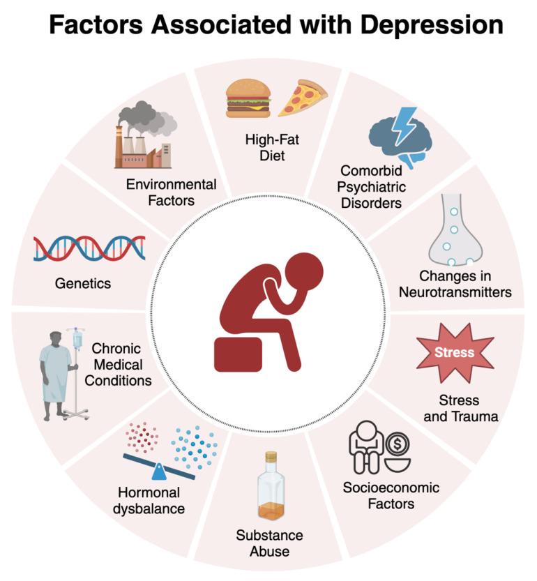 https://cdn.ncbi.nlm.nih.gov/pmc/blobs/a1cc/11429137/45f8dda4c79b/biomedicines-12-01994-g001.jpg