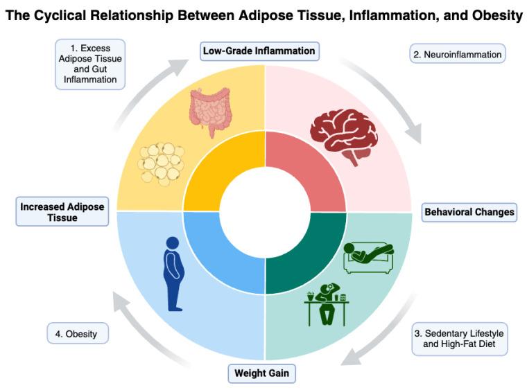 https://cdn.ncbi.nlm.nih.gov/pmc/blobs/a1cc/11429137/6a36311c8913/biomedicines-12-01994-g002.jpg