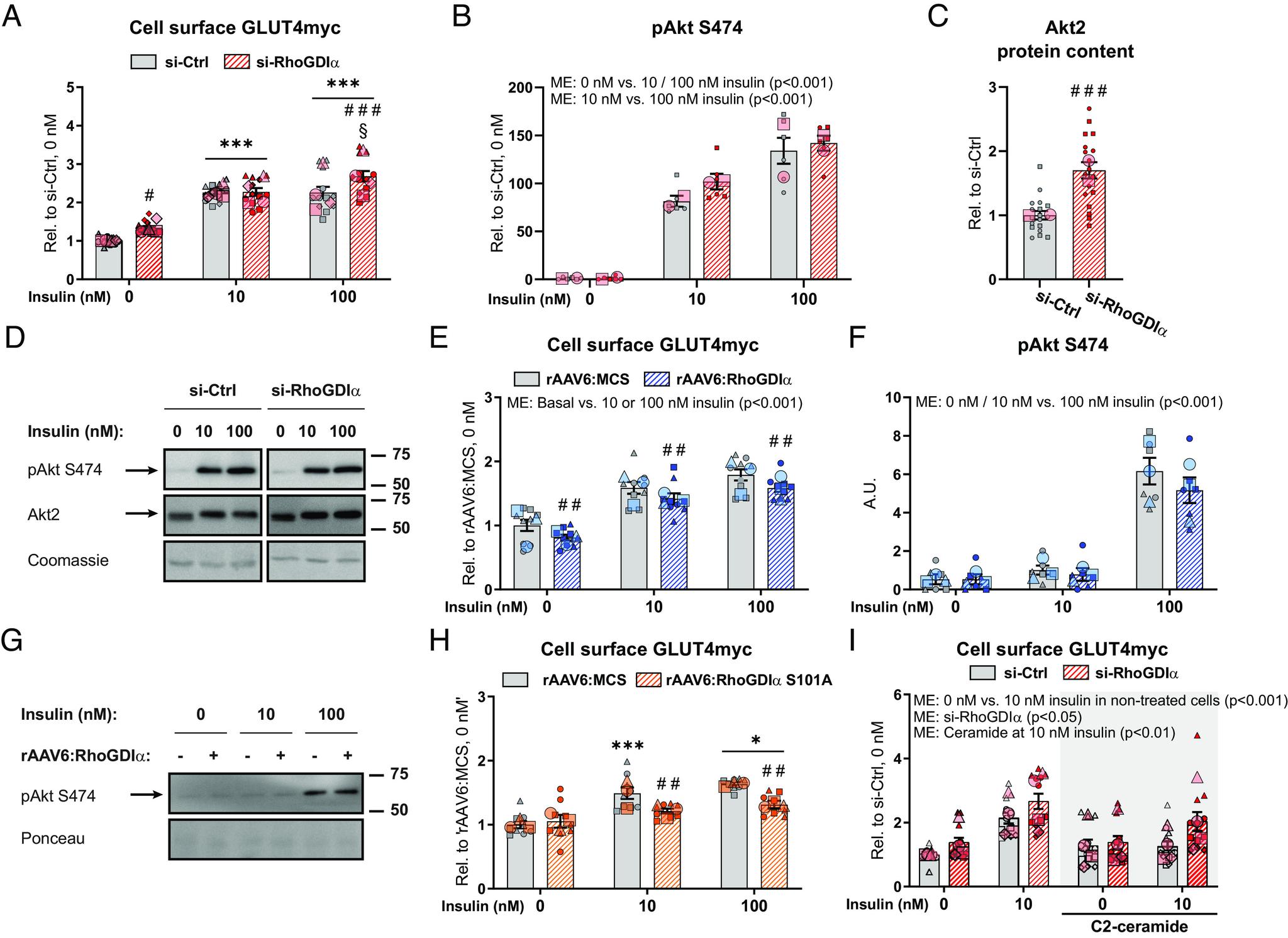 https://cdn.ncbi.nlm.nih.gov/pmc/blobs/a1cd/10318982/c34374e86e58/pnas.2211041120fig03.jpg