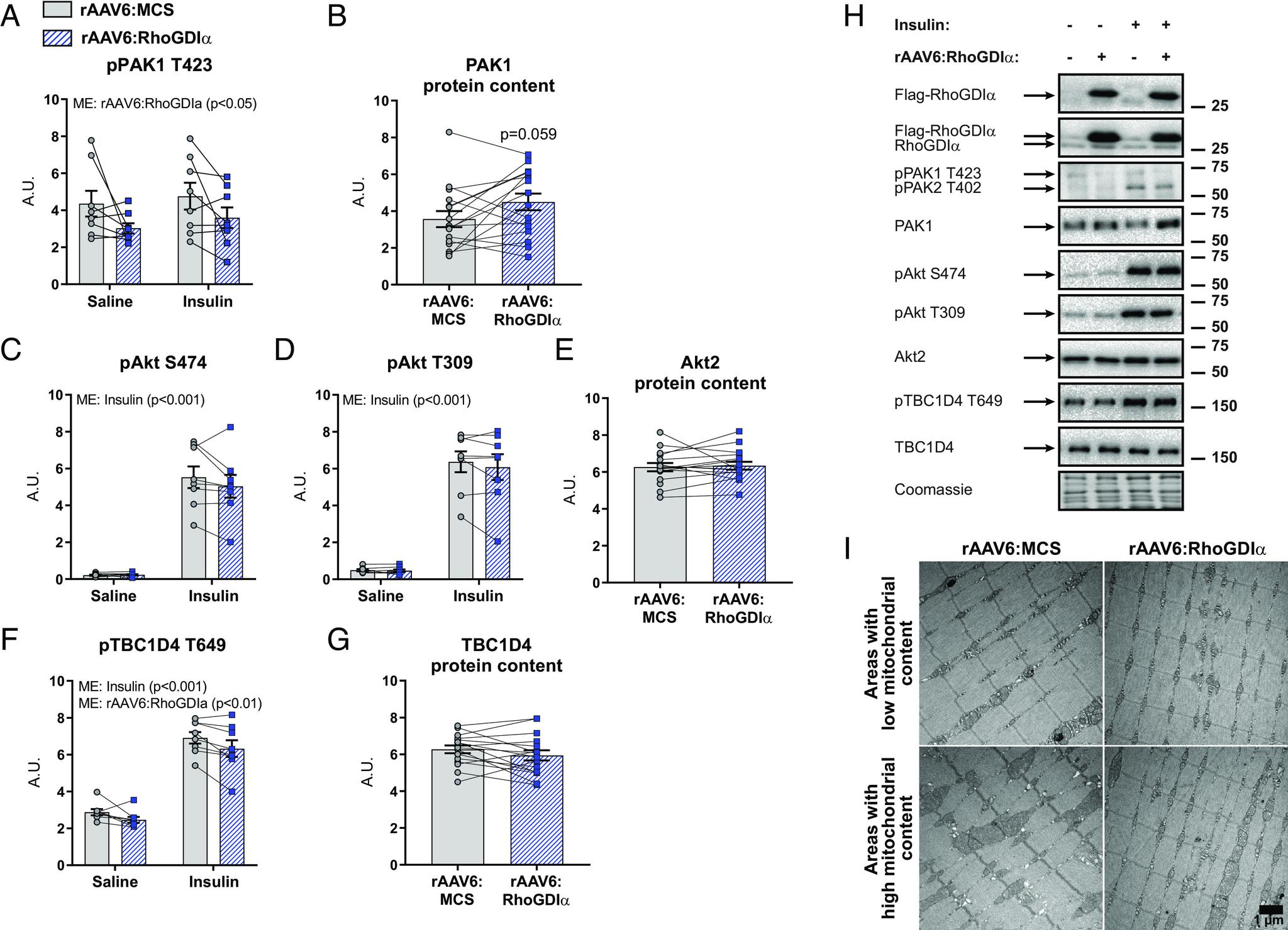 https://cdn.ncbi.nlm.nih.gov/pmc/blobs/a1cd/10318982/f8644a56d0ce/pnas.2211041120fig05.jpg
