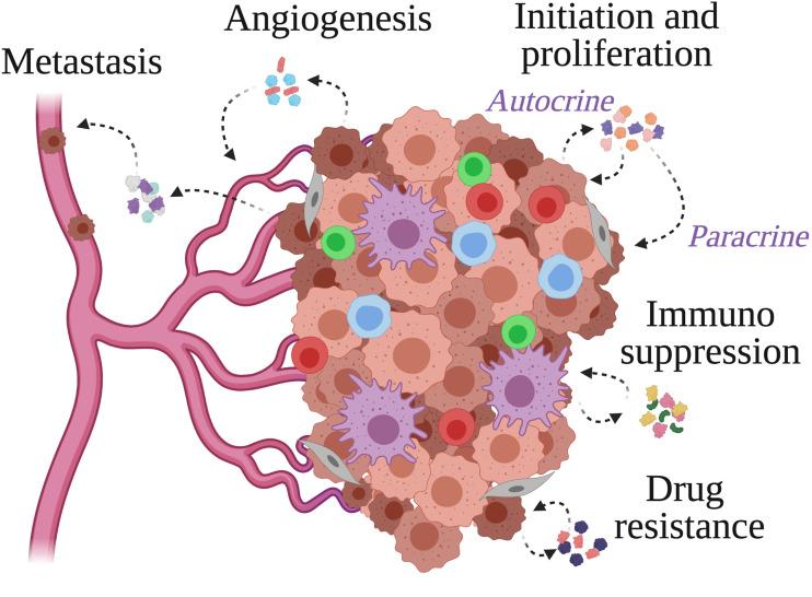 https://cdn.ncbi.nlm.nih.gov/pmc/blobs/a1cd/8294036/bc6190334c1a/fonc-11-692142-g001.jpg