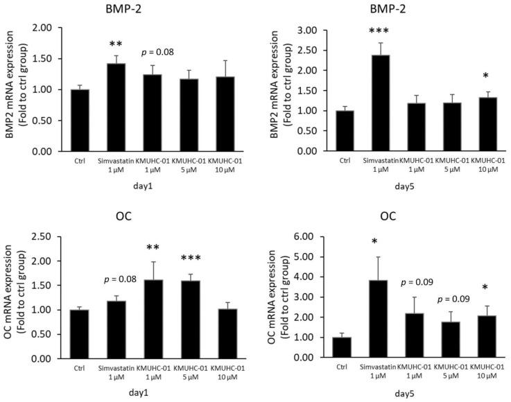 https://cdn.ncbi.nlm.nih.gov/pmc/blobs/a1cd/9405916/05c5c7b86b66/biomedicines-10-01915-g004.jpg