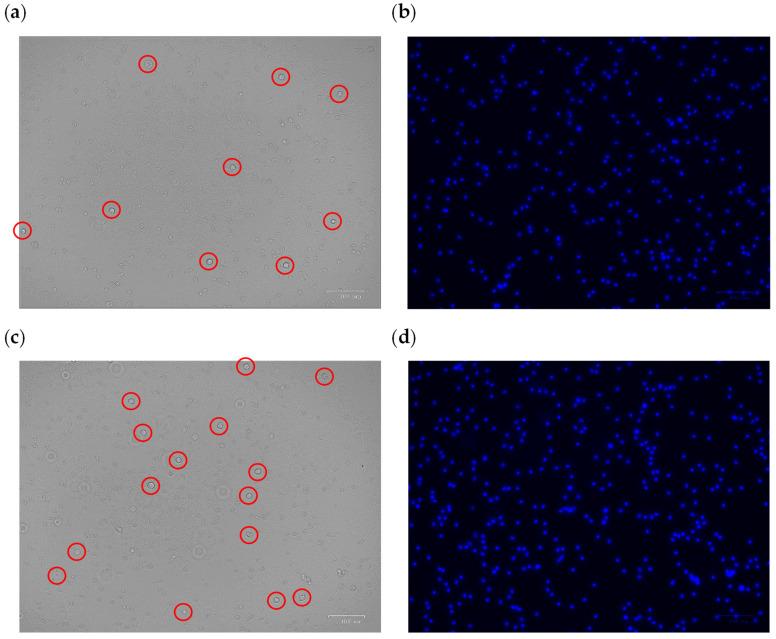 https://cdn.ncbi.nlm.nih.gov/pmc/blobs/a1ce/11436177/f9aa3fb7ce5b/sensors-24-06031-g011.jpg