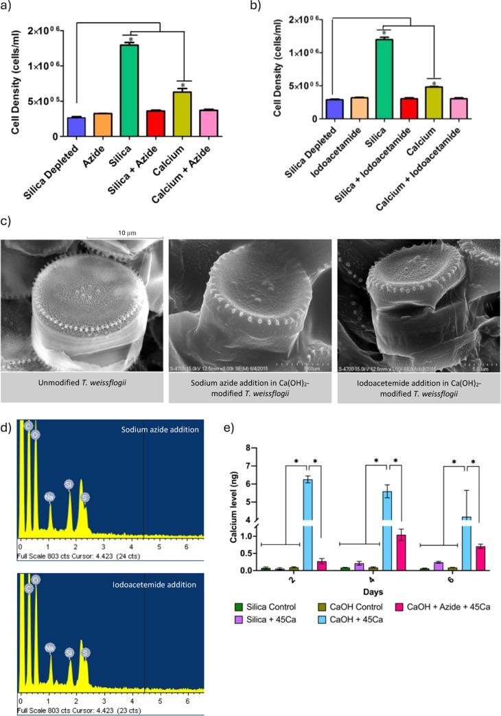 https://cdn.ncbi.nlm.nih.gov/pmc/blobs/a1cf/11190972/4e097705546f/mt4c00431_0005.jpg