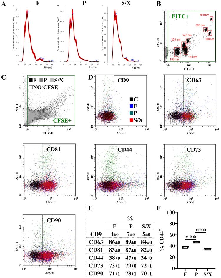 https://cdn.ncbi.nlm.nih.gov/pmc/blobs/a1d3/12367461/cb16938c2101/evcna-6-2-195.fig.4.jpg