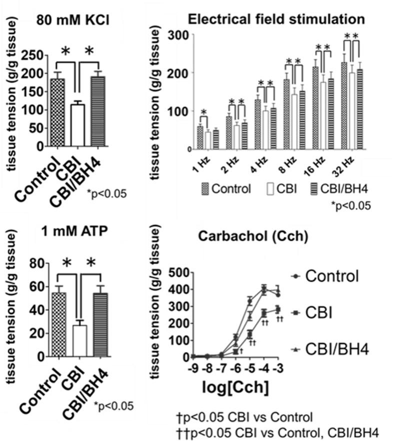 https://cdn.ncbi.nlm.nih.gov/pmc/blobs/a1d3/7670448/4ce355788c43/41598_2020_76948_Fig2_HTML.jpg
