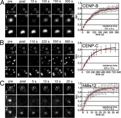 https://cdn.ncbi.nlm.nih.gov/pmc/blobs/a1d4/2290840/e5cfb96b4e6a/jcb1801101f03.jpg