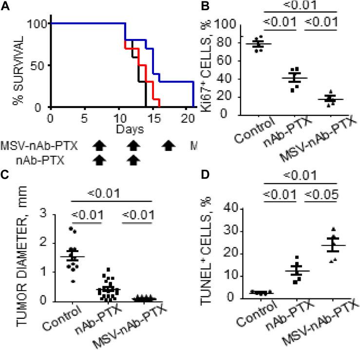 https://cdn.ncbi.nlm.nih.gov/pmc/blobs/a1d5/7466654/208b801a76b7/fbioe-08-01011-g002.jpg