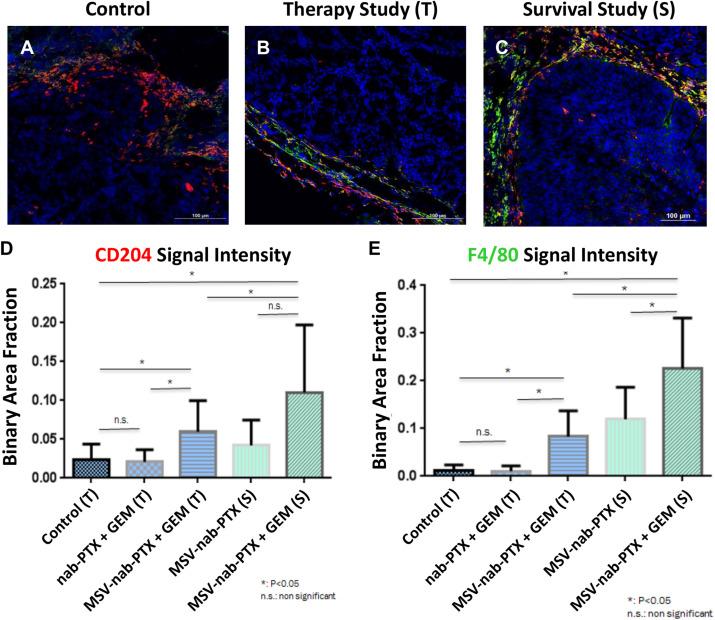 https://cdn.ncbi.nlm.nih.gov/pmc/blobs/a1d5/7466654/89cbbdd0ad9c/fbioe-08-01011-g003.jpg