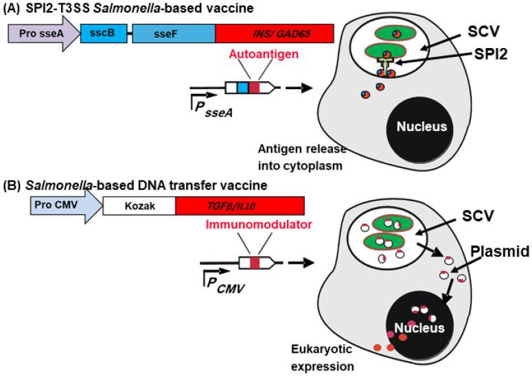 https://cdn.ncbi.nlm.nih.gov/pmc/blobs/a1d6/12031388/469c779050d3/vaccines-13-00405-g002.jpg