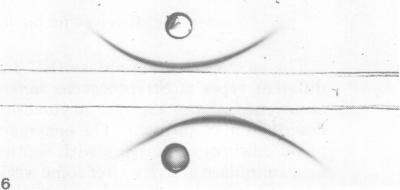 https://cdn.ncbi.nlm.nih.gov/pmc/blobs/a1d6/414804/7dc458da8d58/iai00242-0126-c.jpg