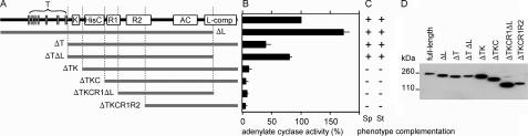 https://cdn.ncbi.nlm.nih.gov/pmc/blobs/a1d7/3009899/cbb55f45b656/zbc0031144100004.jpg