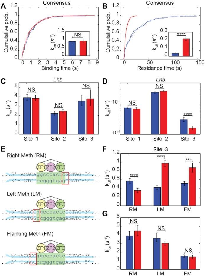 https://cdn.ncbi.nlm.nih.gov/pmc/blobs/a1d9/8565314/6c365f42fad5/gkab843fig5.jpg