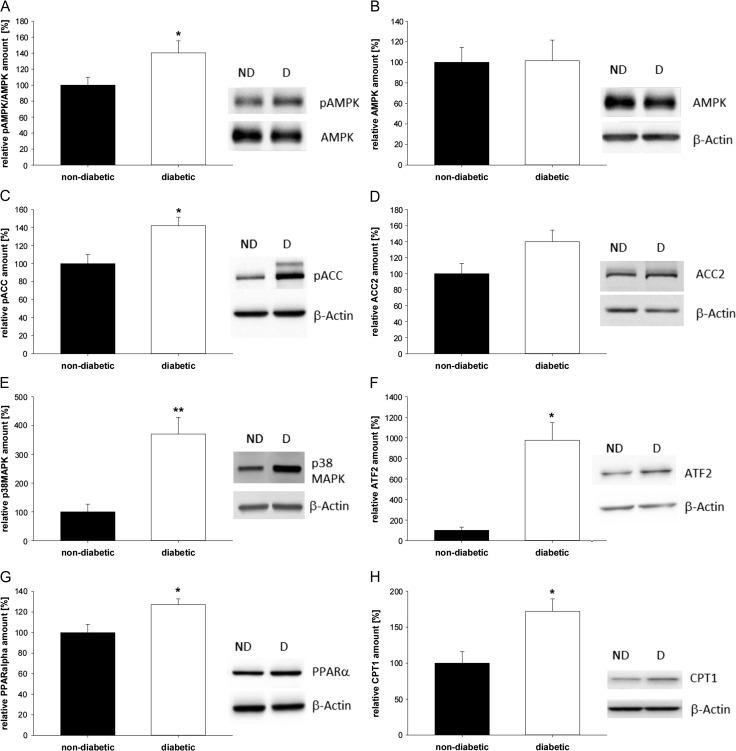 https://cdn.ncbi.nlm.nih.gov/pmc/blobs/a1db/5850832/1ab3ef1a1623/dex087f05.jpg