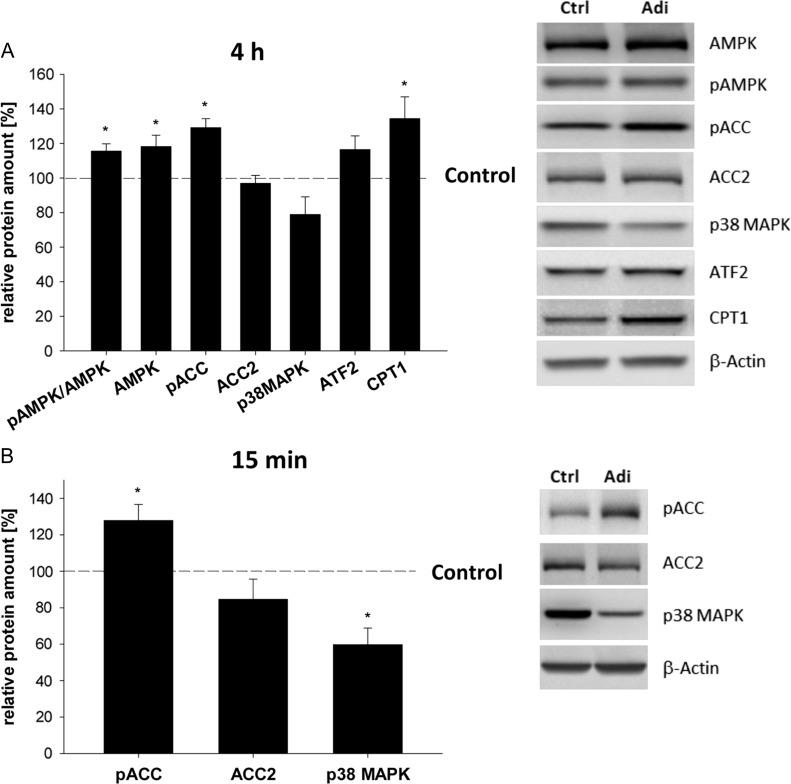 https://cdn.ncbi.nlm.nih.gov/pmc/blobs/a1db/5850832/c4b8b2bcaf37/dex087f01.jpg