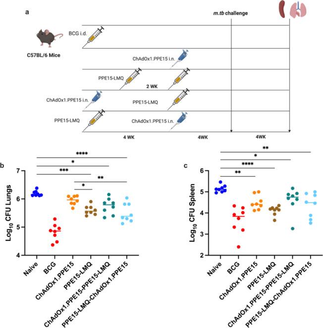 https://cdn.ncbi.nlm.nih.gov/pmc/blobs/a1dc/11729893/1316d8db0f18/41598_2024_84667_Fig6_HTML.jpg