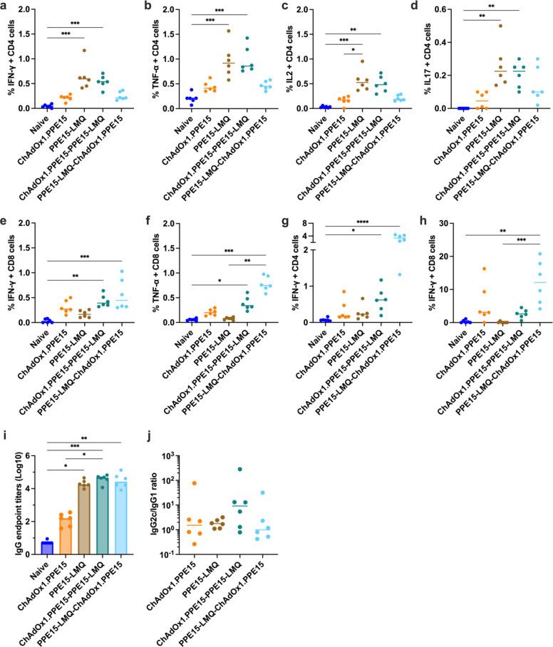 https://cdn.ncbi.nlm.nih.gov/pmc/blobs/a1dc/11729893/21f47d939f69/41598_2024_84667_Fig7_HTML.jpg
