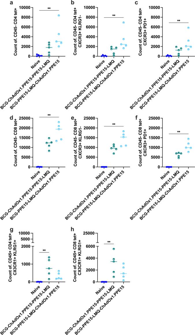 https://cdn.ncbi.nlm.nih.gov/pmc/blobs/a1dc/11729893/7bf40e3451dc/41598_2024_84667_Fig11_HTML.jpg