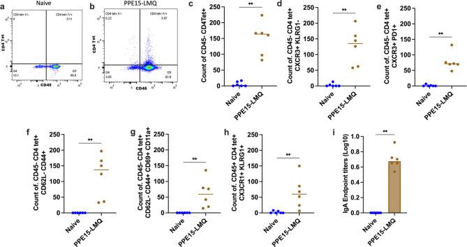 https://cdn.ncbi.nlm.nih.gov/pmc/blobs/a1dc/11729893/8371a569b4e4/41598_2024_84667_Fig5_HTML.jpg