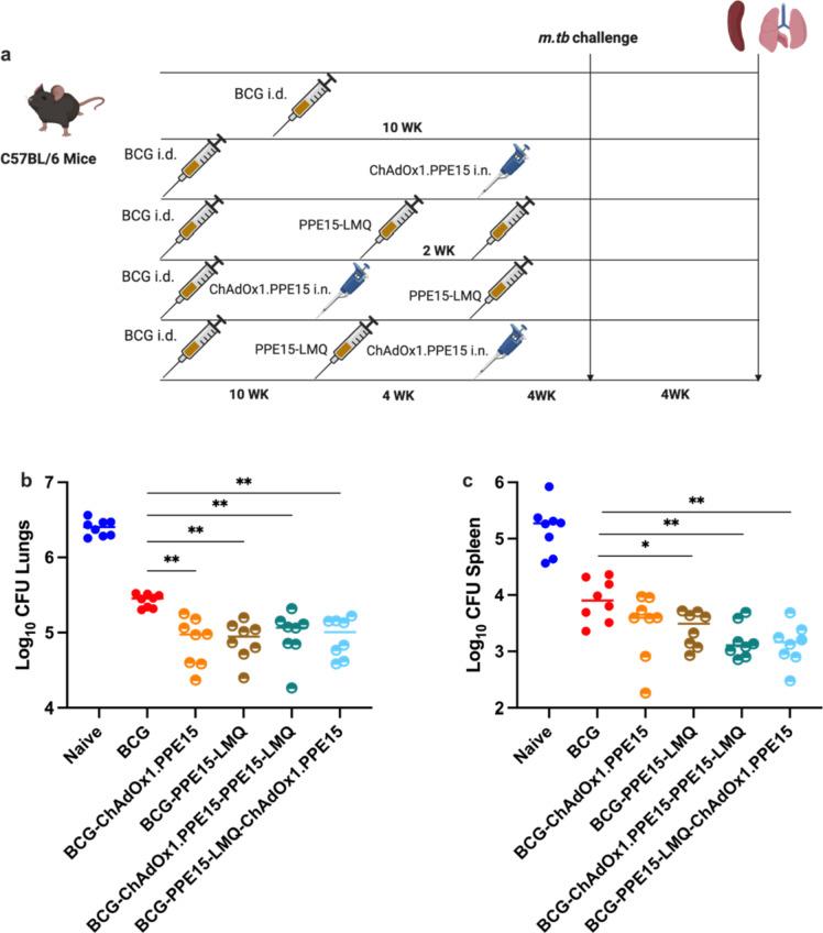https://cdn.ncbi.nlm.nih.gov/pmc/blobs/a1dc/11729893/90fbe171300b/41598_2024_84667_Fig9_HTML.jpg