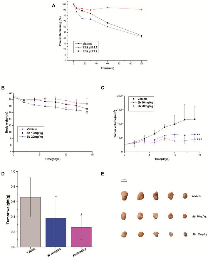 https://cdn.ncbi.nlm.nih.gov/pmc/blobs/a1dc/9726873/f27a92469832/fphar-13-1014854-g004.jpg
