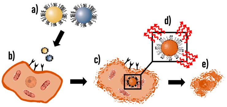 https://cdn.ncbi.nlm.nih.gov/pmc/blobs/a1dd/10341066/50a31966d831/cancers-15-03388-g004.jpg