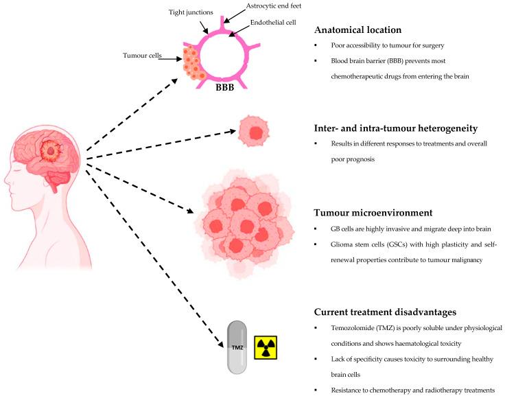 https://cdn.ncbi.nlm.nih.gov/pmc/blobs/a1dd/10341066/776ab5c9892e/cancers-15-03388-g001.jpg