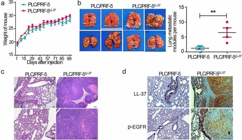 https://cdn.ncbi.nlm.nih.gov/pmc/blobs/a1de/9858423/3e7559acd2c1/KCAM_A_2168231_F0005_OC.jpg