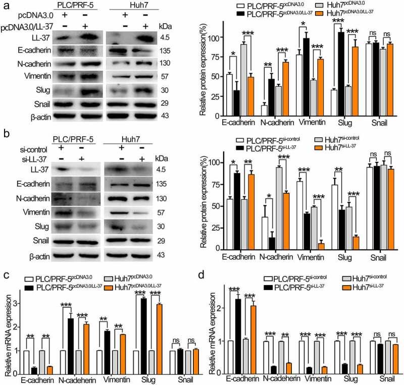 https://cdn.ncbi.nlm.nih.gov/pmc/blobs/a1de/9858423/6a70dfe73ab0/KCAM_A_2168231_F0002_OC.jpg