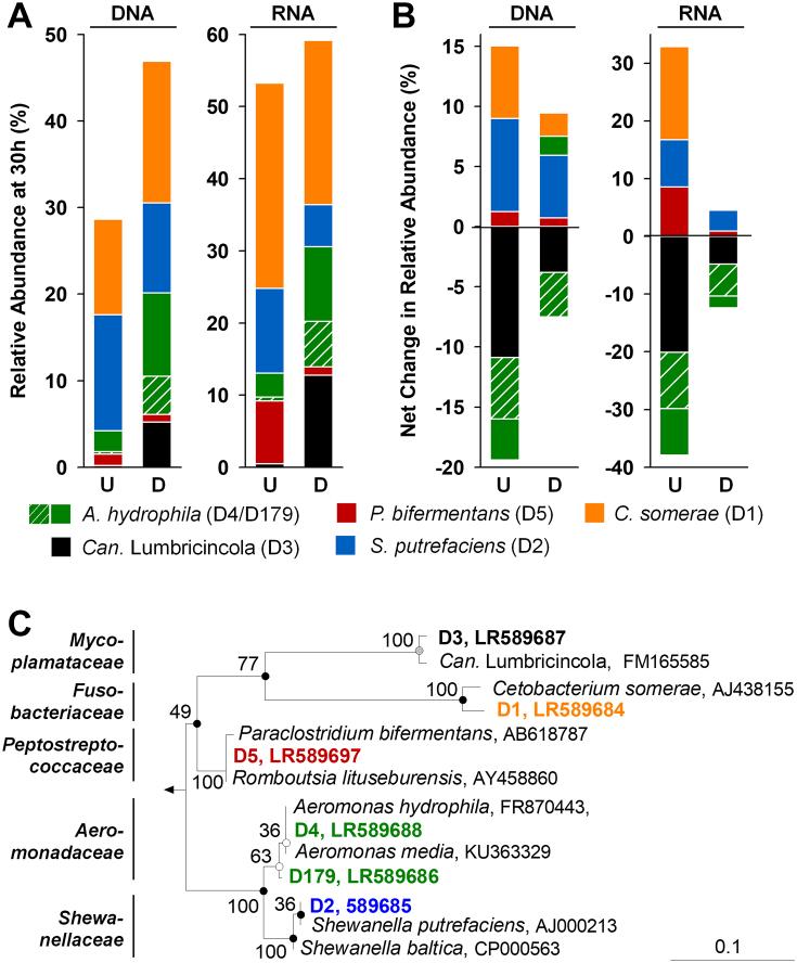 https://cdn.ncbi.nlm.nih.gov/pmc/blobs/a1df/10117435/1b0d04e9393f/xtaa002fig3.jpg
