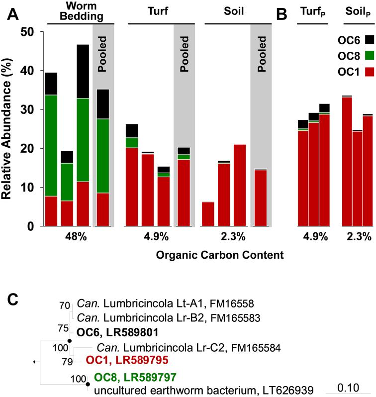 https://cdn.ncbi.nlm.nih.gov/pmc/blobs/a1df/10117435/771b1291d741/xtaa002fig7.jpg