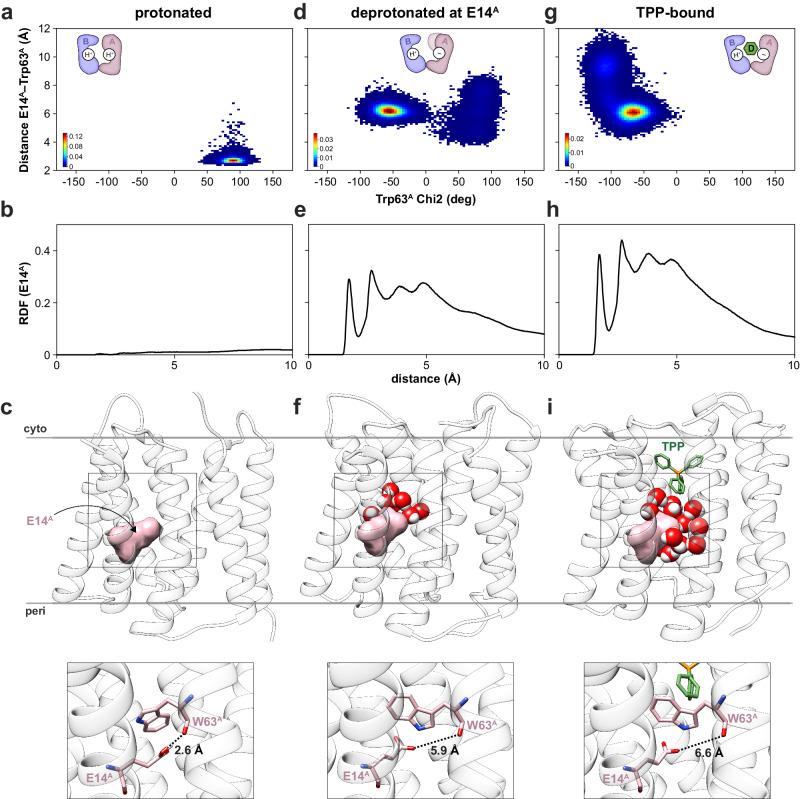 https://cdn.ncbi.nlm.nih.gov/pmc/blobs/a1e0/11133458/957729cabdfe/41467_2024_48803_Fig4_HTML.jpg