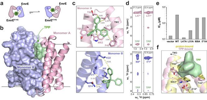 https://cdn.ncbi.nlm.nih.gov/pmc/blobs/a1e0/11133458/f7f15cc2657f/41467_2024_48803_Fig3_HTML.jpg