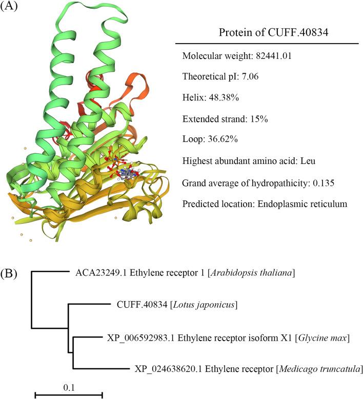 https://cdn.ncbi.nlm.nih.gov/pmc/blobs/a1e1/8564971/a77ab17cd1f3/12870_2021_3283_Fig3_HTML.jpg