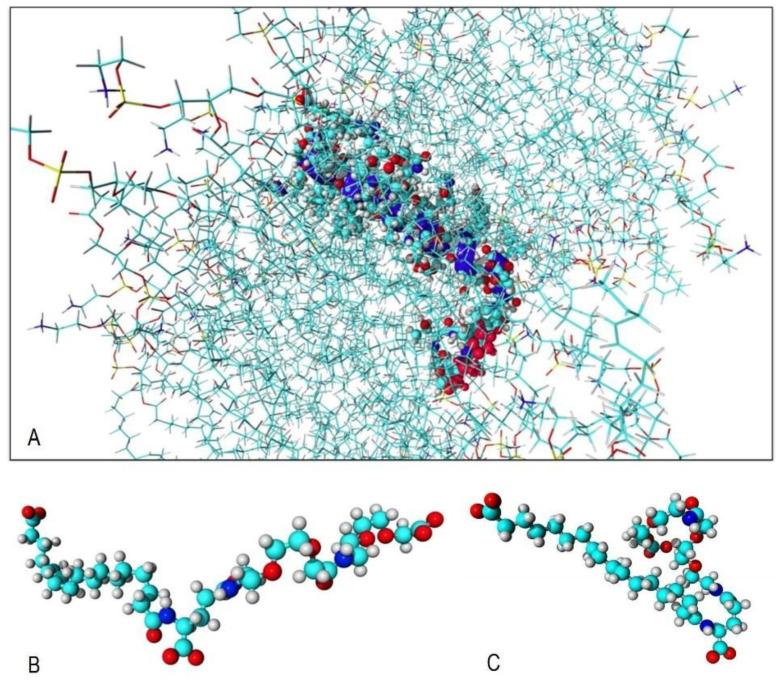 https://cdn.ncbi.nlm.nih.gov/pmc/blobs/a1e4/10216059/faf0b6fc1da0/biomedicines-11-01421-g004.jpg