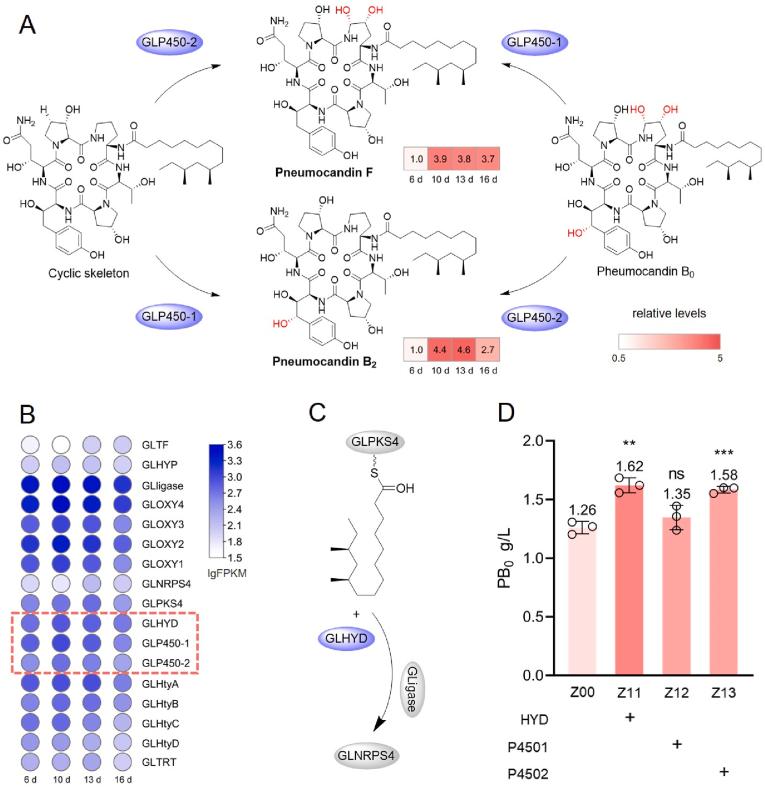 https://cdn.ncbi.nlm.nih.gov/pmc/blobs/a1e5/11742615/ca2fbad14542/gr2.jpg