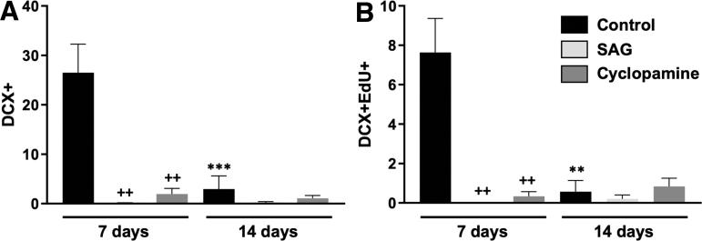 https://cdn.ncbi.nlm.nih.gov/pmc/blobs/a1e5/8240818/6c7faef8cb02/neur.2020.0016_figure4.jpg
