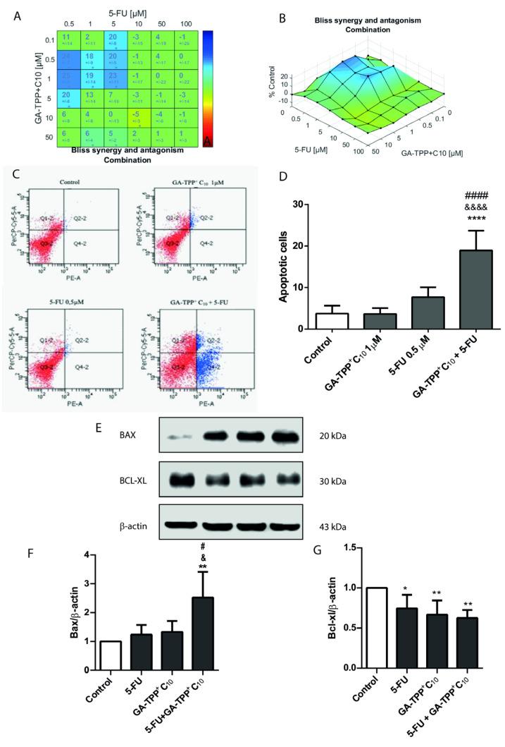 https://cdn.ncbi.nlm.nih.gov/pmc/blobs/a1e6/11393949/2049e7994712/cancers-16-02980-g003.jpg