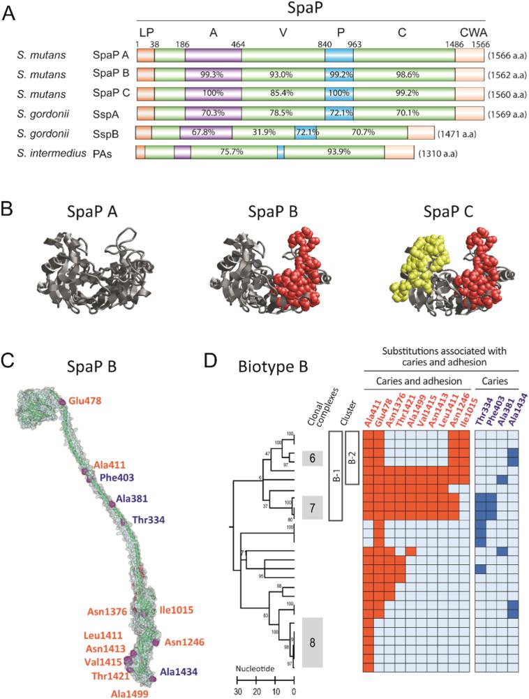 https://cdn.ncbi.nlm.nih.gov/pmc/blobs/a1e8/5652290/49e334512457/gr4.jpg