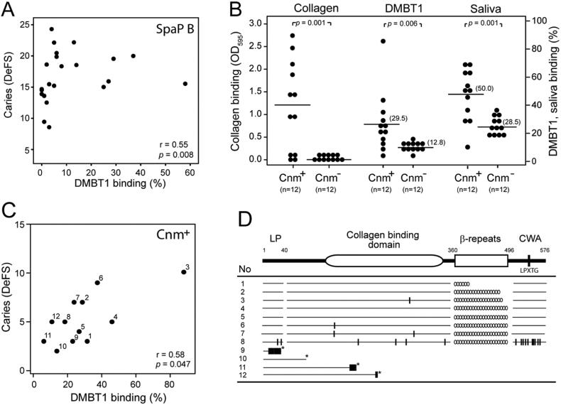 https://cdn.ncbi.nlm.nih.gov/pmc/blobs/a1e8/5652290/51d5a5b50509/gr3.jpg