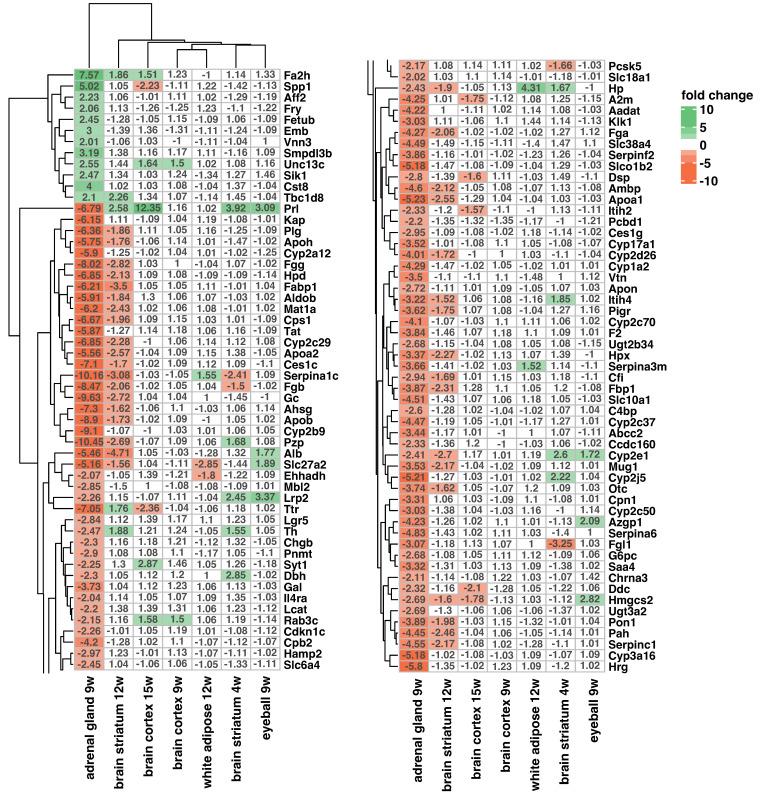 https://cdn.ncbi.nlm.nih.gov/pmc/blobs/a1e9/10888552/b0a944c8c352/ijms-25-02176-g005.jpg