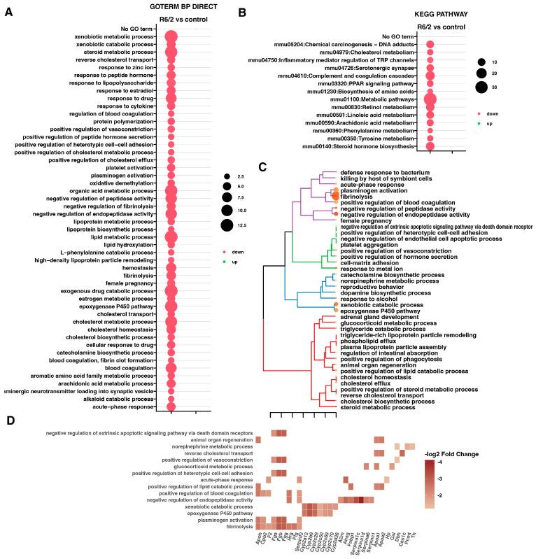 https://cdn.ncbi.nlm.nih.gov/pmc/blobs/a1e9/10888552/ca34f2ec90ae/ijms-25-02176-g002.jpg