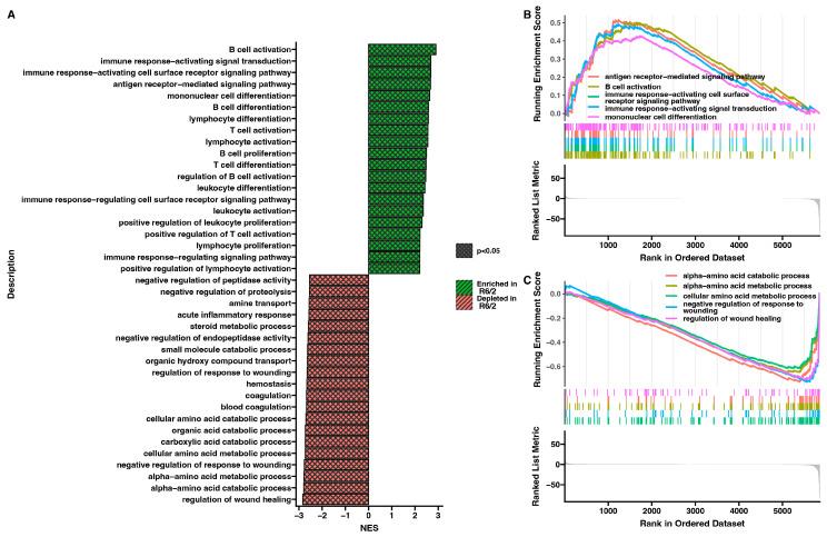 https://cdn.ncbi.nlm.nih.gov/pmc/blobs/a1e9/10888552/cc176da49a65/ijms-25-02176-g003.jpg
