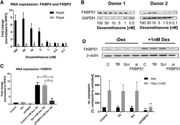 https://cdn.ncbi.nlm.nih.gov/pmc/blobs/a1e9/6282724/b56f725b4983/EJI-48-1904-g002.jpg