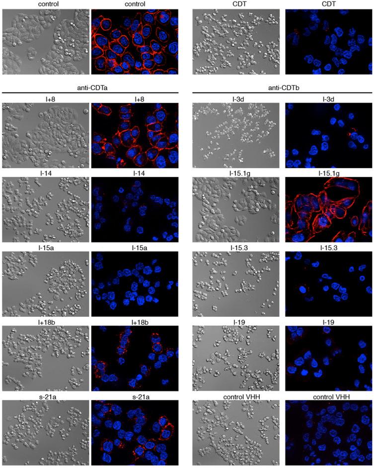 https://cdn.ncbi.nlm.nih.gov/pmc/blobs/a1eb/4297958/c1e7a80686cb/srep07850-f6.jpg