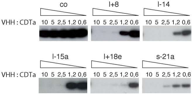 https://cdn.ncbi.nlm.nih.gov/pmc/blobs/a1eb/4297958/e7dc965f47c1/srep07850-f5.jpg
