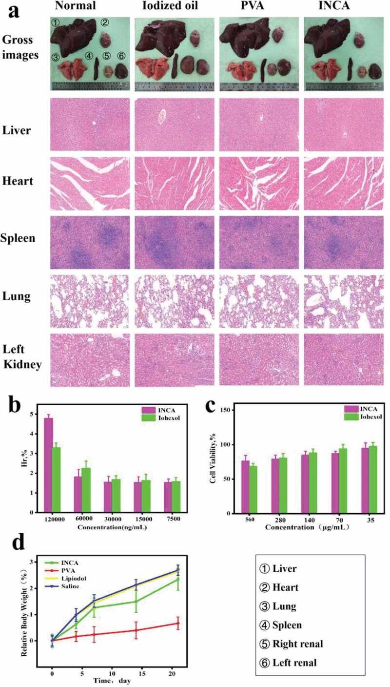 https://cdn.ncbi.nlm.nih.gov/pmc/blobs/a1eb/9858417/c556cbd98c08/TDMP_A_2164445_F0007_OC.jpg