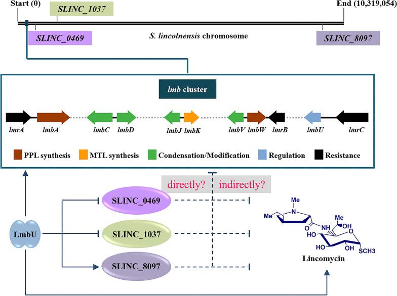 https://cdn.ncbi.nlm.nih.gov/pmc/blobs/a1ec/10763038/69a7da1d4d5b/12934_2023_2284_Fig7_HTML.jpg