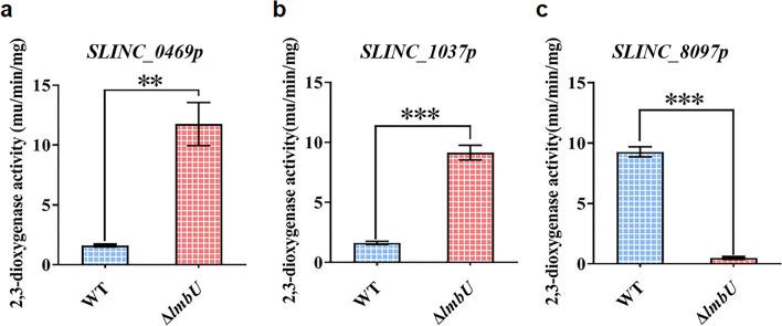 https://cdn.ncbi.nlm.nih.gov/pmc/blobs/a1ec/10763038/df3f5fa1be43/12934_2023_2284_Fig3_HTML.jpg