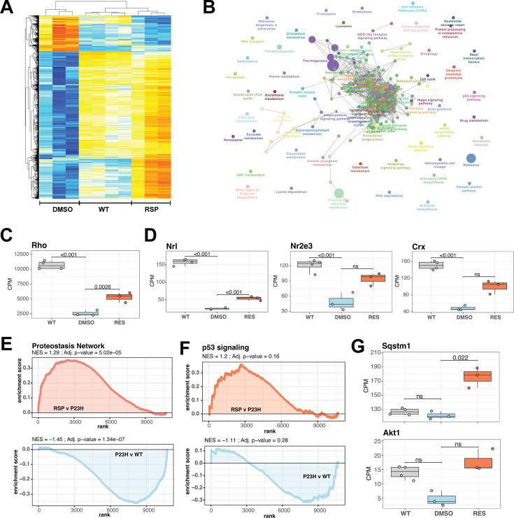 https://cdn.ncbi.nlm.nih.gov/pmc/blobs/a1ec/11999695/26b8f268e3e9/elife-103888-fig6.jpg